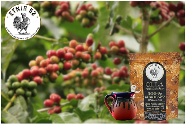 Etnia 52 de Olla Coffee. Ground, 8.8 ounce bag
