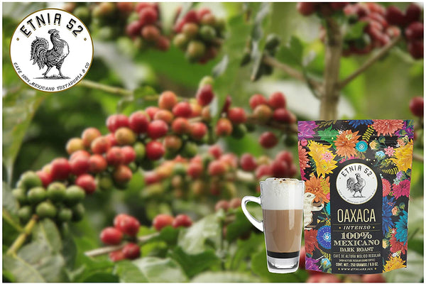 Etnia 52 Oaxaca Coffee. Ground, artisan flavor. 8.8 ounce bag